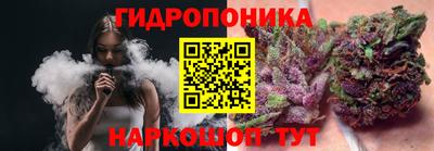 шишки Лесосибирск