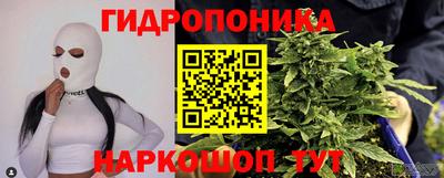 индика Можайск
