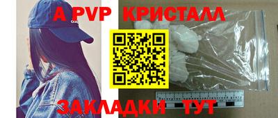 шишки Лесосибирск