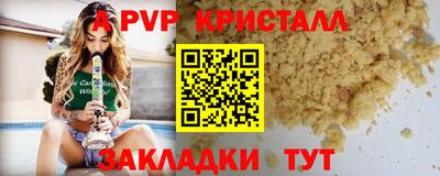 шишки Лесосибирск