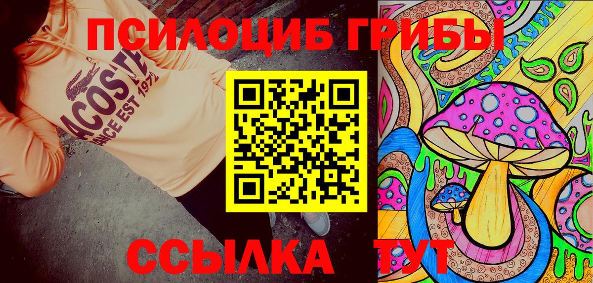 Псилоцибиновые грибы GOLDEN TEACHER  купить наркотик  Нижний Новгород  Вход с VPN 