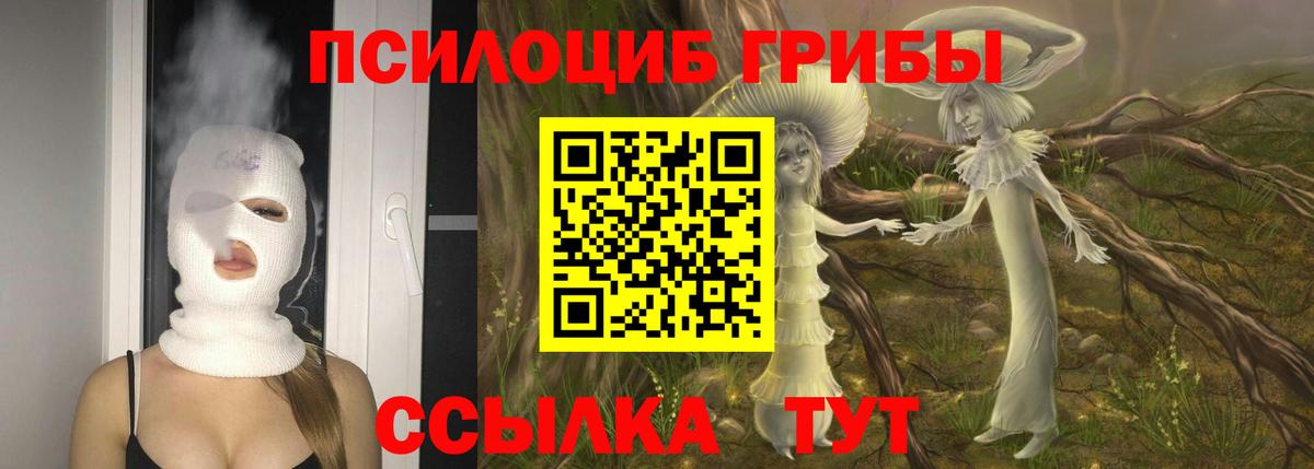 Псилоцибиновые грибы мухоморы Нижний Новгород