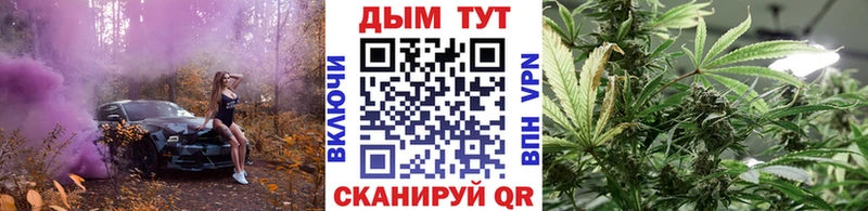 kraken вход Нижний Новгород Бошки Шишки VHQ